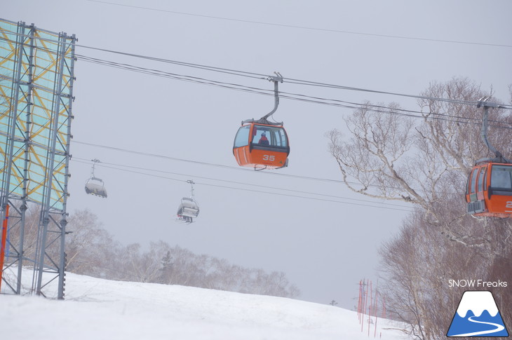 札幌国際スキー場 積雪豊富☆明日の営業最終日も、ほぼ全面滑走可能です!!